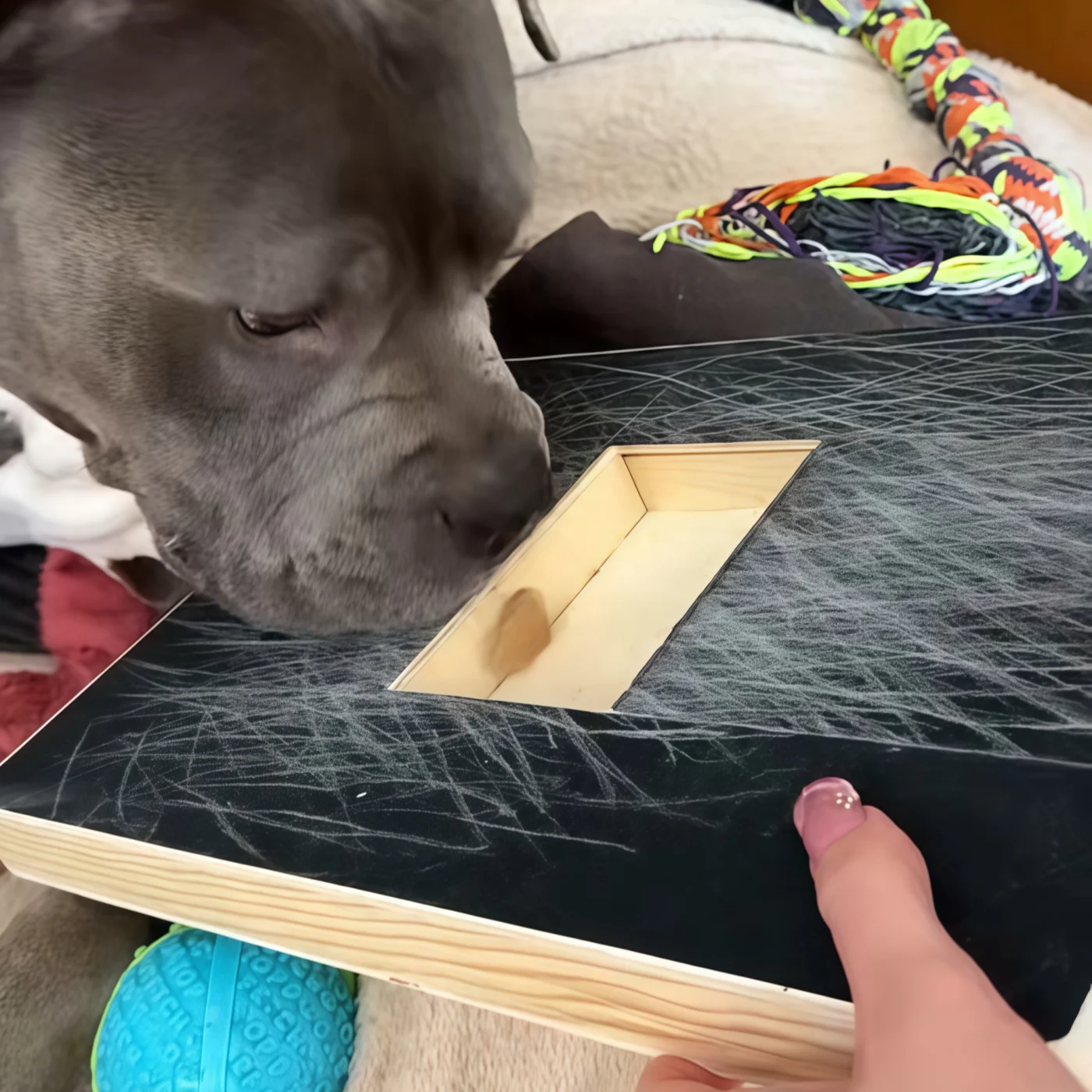 SmartPaw™ – Nail Grinding Scratch Board